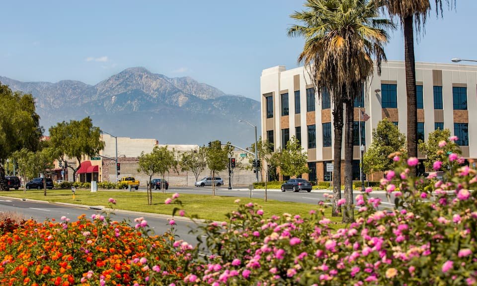 Limo Service Montclair