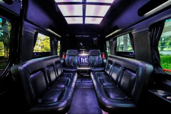 Mercedes-Benz Sprinter Limo
